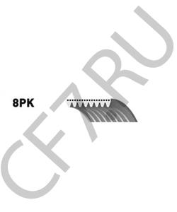 3288576 AUTOMAX Ремень ручейковый 8PK1143 (вентилятора) , ISM11, (AM1209). в городе Королёв